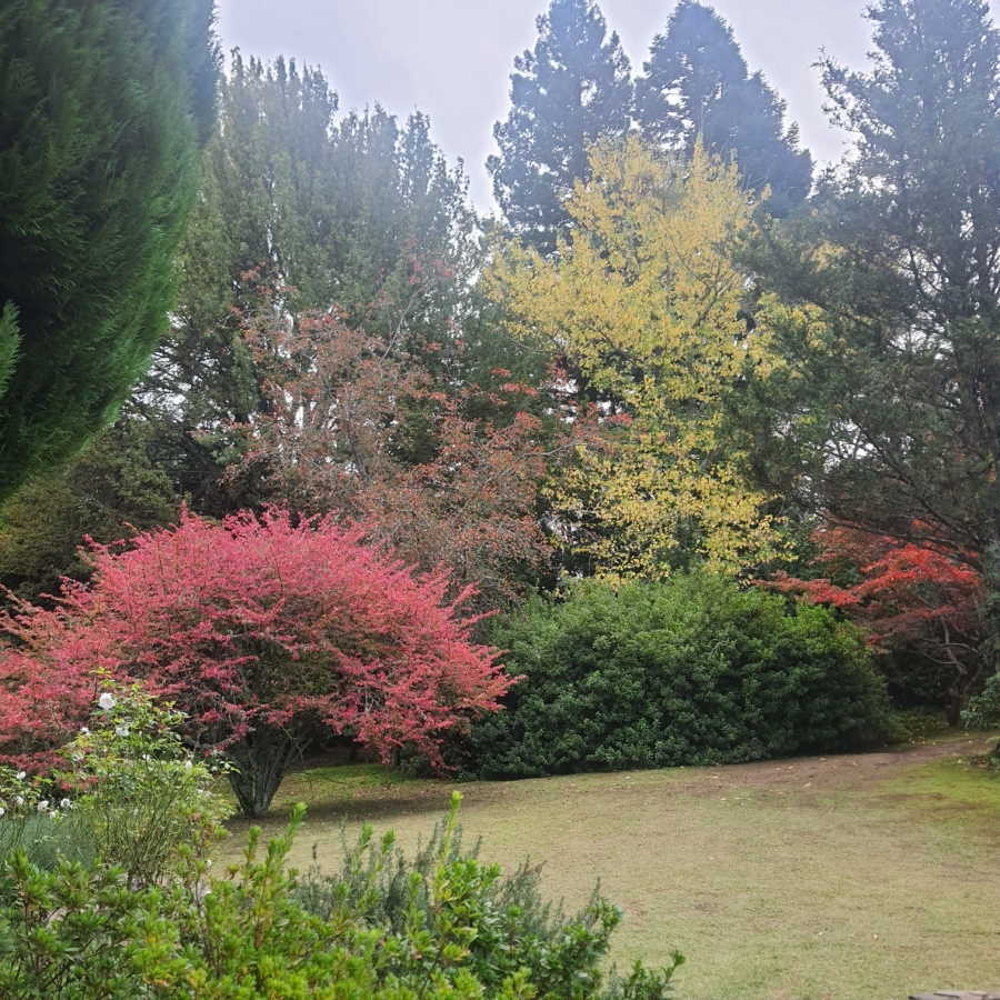 3 Bedroom Property for Sale in Hogsback Eastern Cape